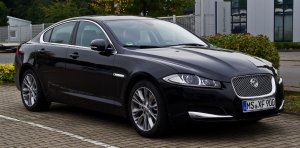 XF