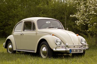 Beetle